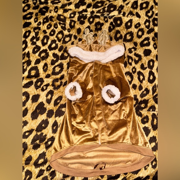 LG REINDEER DOG COSTUME! - Picture 6 of 6